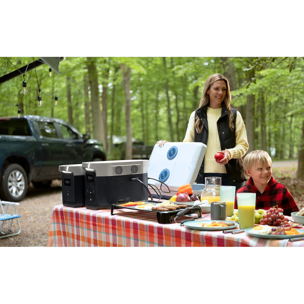 EcoFlow Delta Max 1600 Power Station Solargenerator
