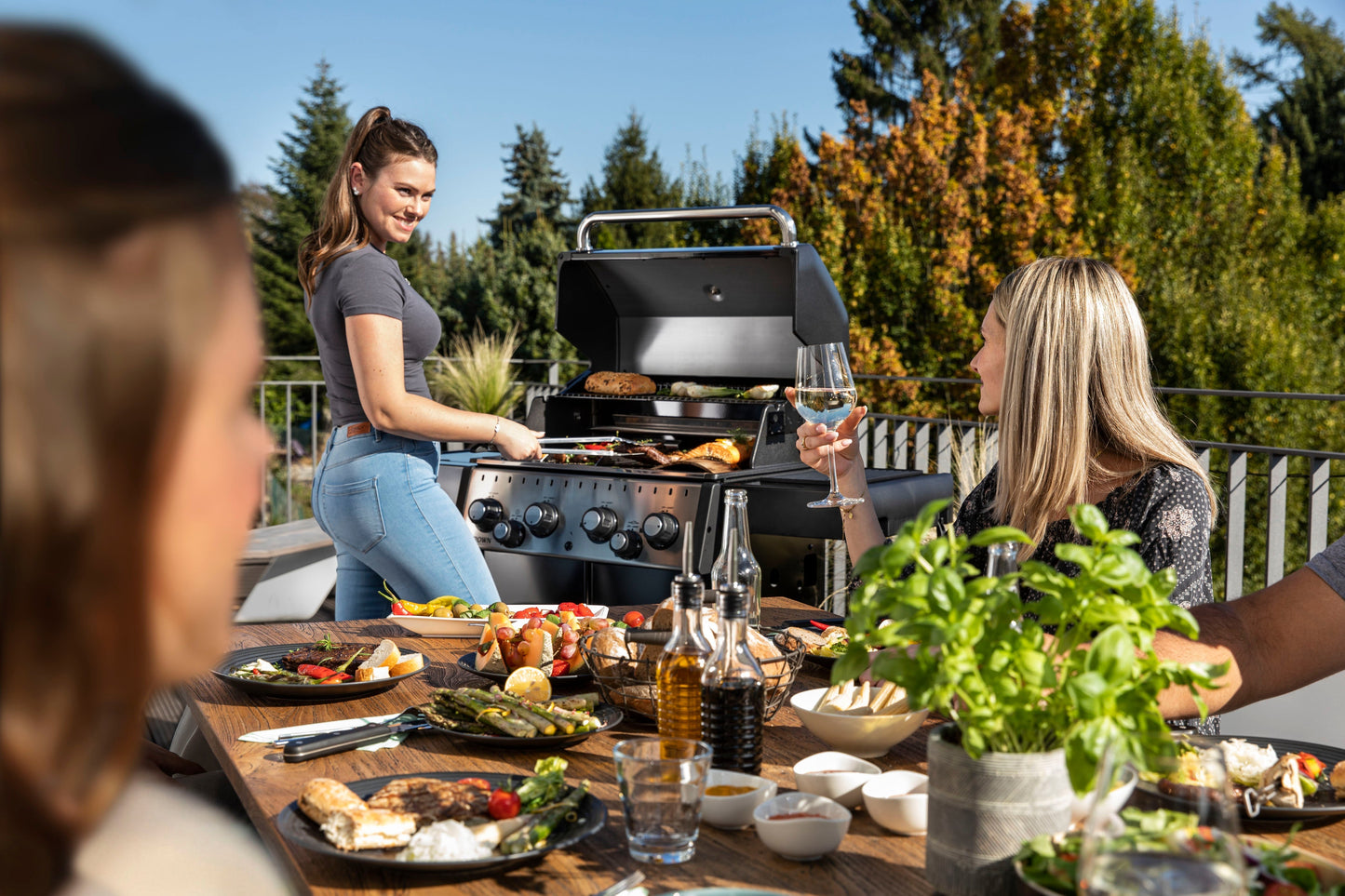 Broil King Crown 490